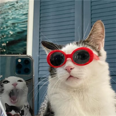 جاوید میانداد avatar